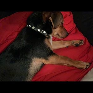 Meet your Posher, Carrie